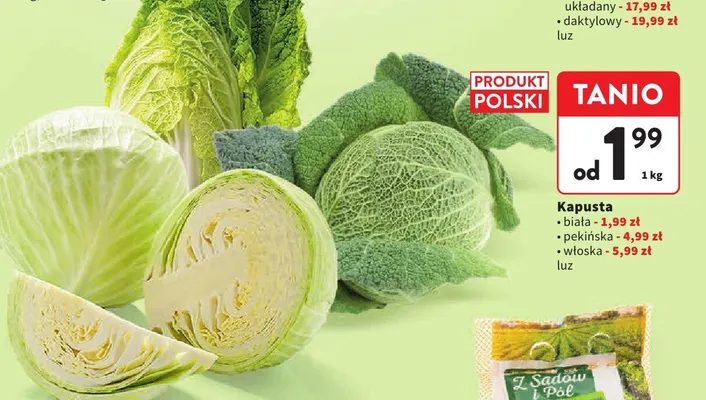 Kapusta włoska luz promocja w Intermarche