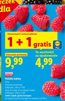 Polskie maliny Ryneczek Lidla promocja w Lidl
