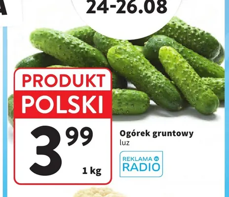 Ogórek gruntowy luz promocja w Intermarche