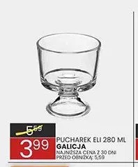 Pucharek Eli Galicja promocja w Wafelek