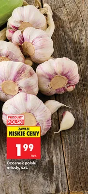 Czosnek polski młody promocja w Biedronka