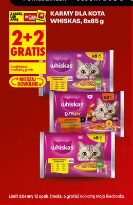 Karma dla kota Whiskas 8-pak 85 g promocja w Biedronka