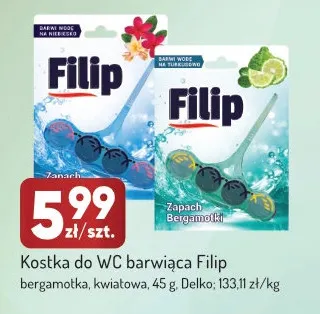Kostka do WC barwiąca Filip kwiatowa promocja w Avita