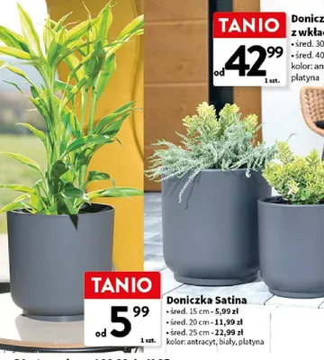 Doniczka Satina z wkładem promocja w Intermarche