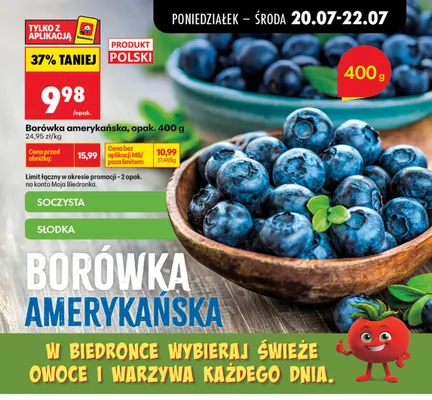 Borówka amerykańska promocja w Biedronka