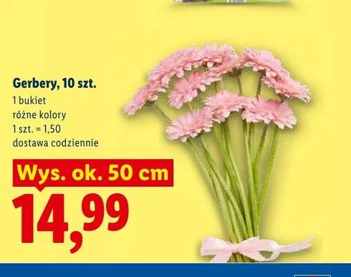 Gerbery bukiet promocja w Lidl