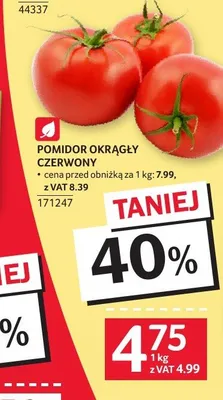 Pomidor okrągły czerwony promocja w Selgros