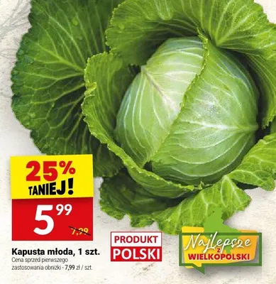 Kapusta młoda promocja w Twój Market