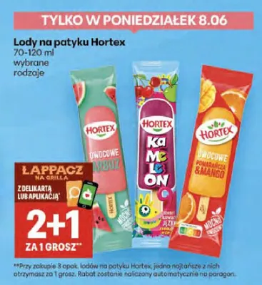 Lody na patyku Hortex Owocowe Arbuz promocja w Delikatesy Centrum