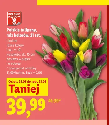 Polskie tulipany Polskie Kwiaty mix kolorów 21-pak promocja w Lidl