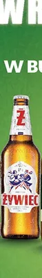 Piwo Żywiec promocja w Biedronka