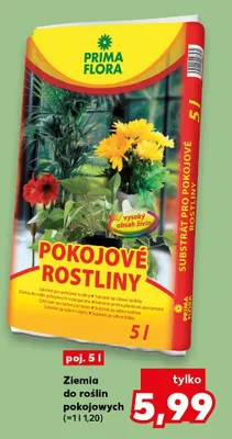 Ziemia do roślin pokojowych promocja w Kaufland