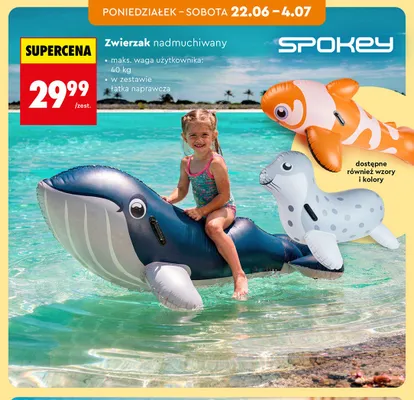 Zwierzak nadmuchiwany Spokey promocja w Biedronka
