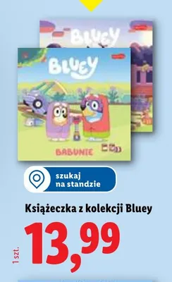Książeczka z kolekcji Bluey promocja w Lidl