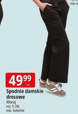 Spodnie damskie dresowe promocja w Leclerc
