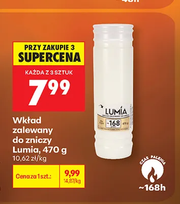Wkład zalewany do zniczy Lumia promocja w Biedronka
