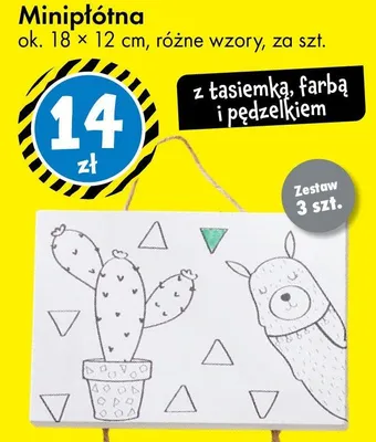 Miniplótna ok. 18 × 12 cm, różne wzory, z tasiemką, farbą i pędzlem, zestaw 3 szt. promocja w Tedi
