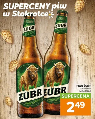 Piwo Żubr promocja w Stokrotka
