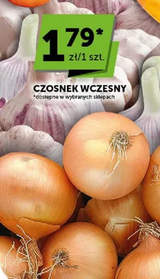 Czosnek wczesny promocja w Groszek