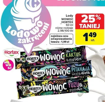 Lody wowoc promocja w Carrefour Market