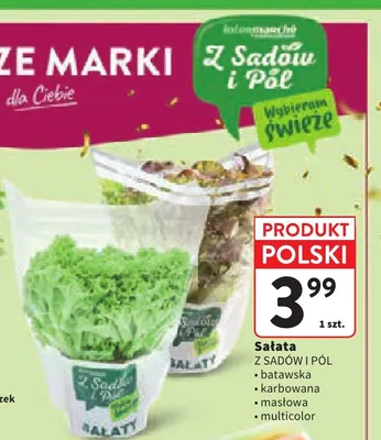 Sałata karbowana Z Sadów i Pól promocja w Intermarche