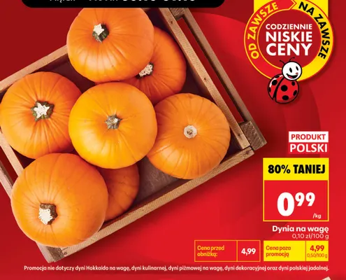 Dynia promocja w Biedronka