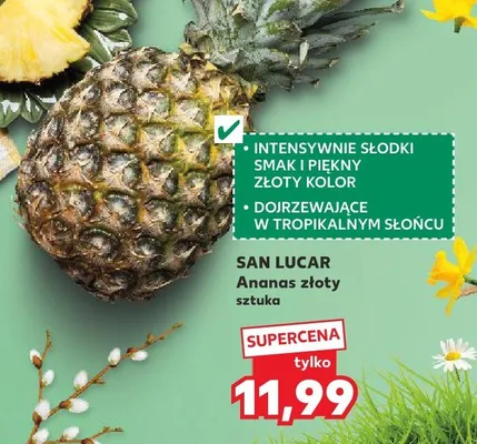 Ananas złoty promocja w Kaufland