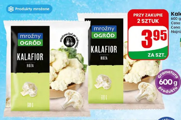 Kalafior róża Mroźny Ogród promocja w Dino