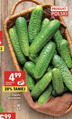 Ogórki gruntowe polskie promocja w Delikatesy Centrum