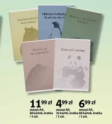 Zeszyt A4 z napisami 60 kartek kratka promocja w Empik