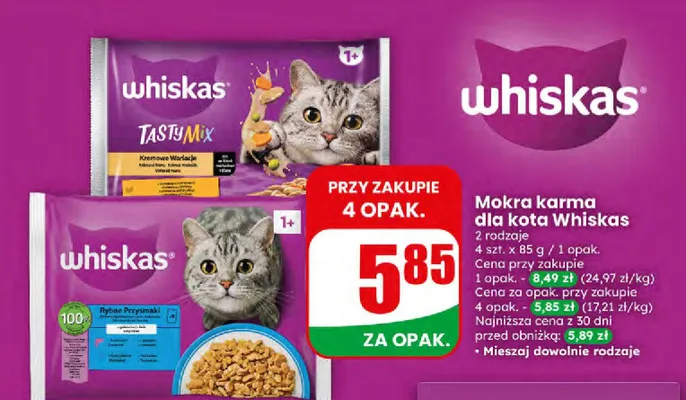 Mokra karma dla kota promocja w Dino