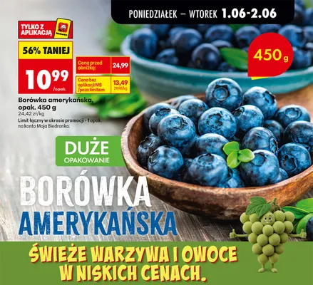 Borówka amerykańska promocja w Biedronka