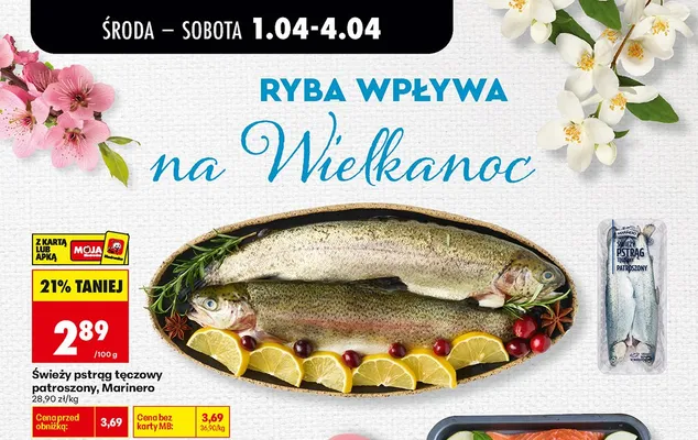 Pstrąg tęczowy świeży patroszony promocja w Biedronka