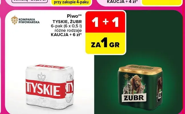 Piwo Żubr 6-pak promocja w Carrefour