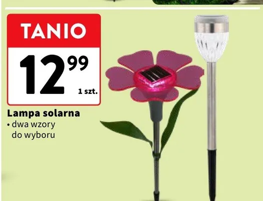 Lampa solarna dwa wzory do wyboru promocja w Intermarche