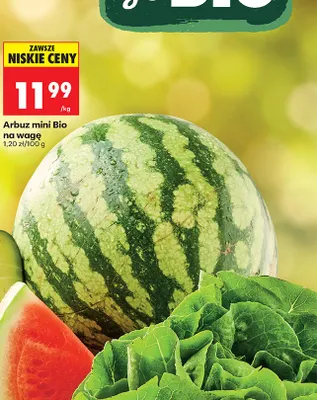 Arbuz mini Bio na wagę promocja w Biedronka