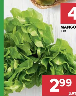 Sałata masłowa promocja w Stokrotka