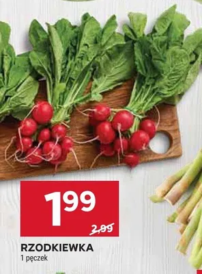 Rzodkiewka promocja w Stokrotka
