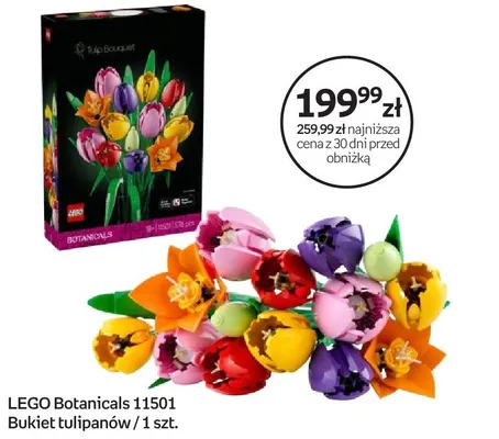 Zestaw klocki Botanicals 11501 Bukiet tulipanów promocja w Empik