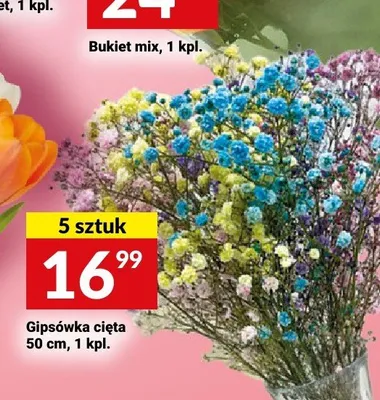 Gipsówka cięta 50cm 5-pak promocja w Twój Market