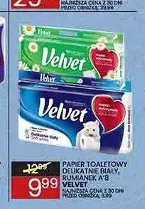 Papier toaletowy Velvet Rumianek 8 rolek promocja w Wafelek