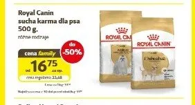 Royal Canin Chihuahua sucha karma dla psa promocja w Super Zoo