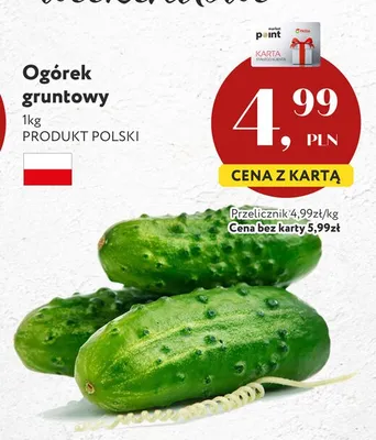 Ogórek gruntowy polski promocja w Market Point
