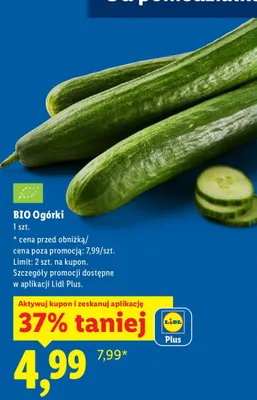 Ogórki bio promocja w Lidl