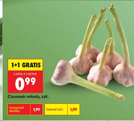 Czosnek młody promocja w Biedronka