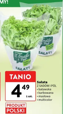 Sałata multicolor Z SADÓW I PÓL promocja w Intermarche