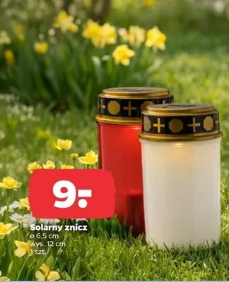 Znicz solarny promocja w Netto