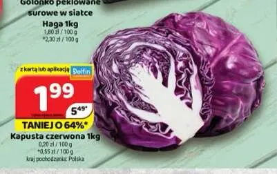 Kapusta czerwona polska promocja w Delfin