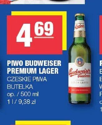 Piwo Budweiser Premium Lager promocja w SPAR