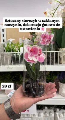 Sztuczny storczyk w szklanym naczyniu, dekoracja promocja w Pepco